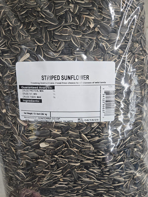 10 lb Striped Sunflower Seeds (10 lbs)