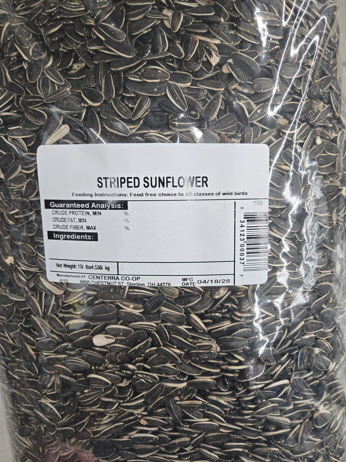 10 lb Striped Sunflower Seeds (10 lbs)