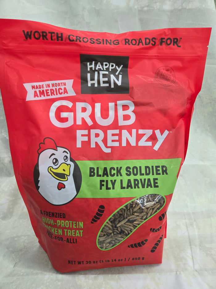 HH Black Soldier Fly Larv