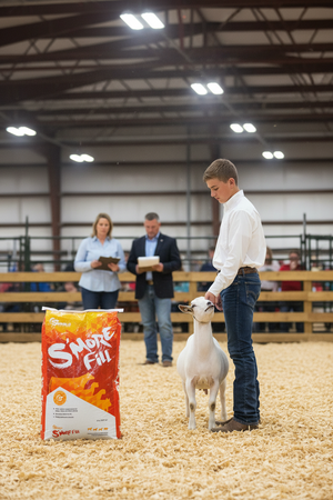 Sunglo S'More Fill Meal