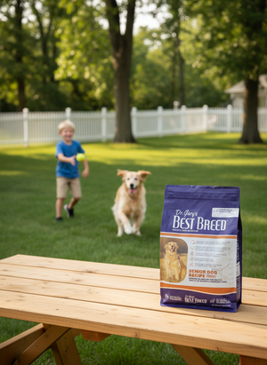 Best BRD.4# Senior Dog