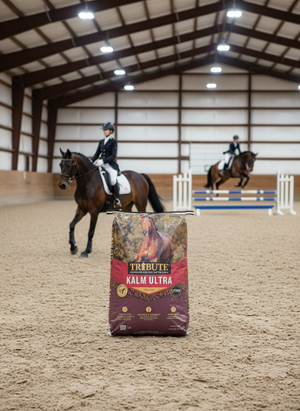 Tribute Kalm Ultra 12/12