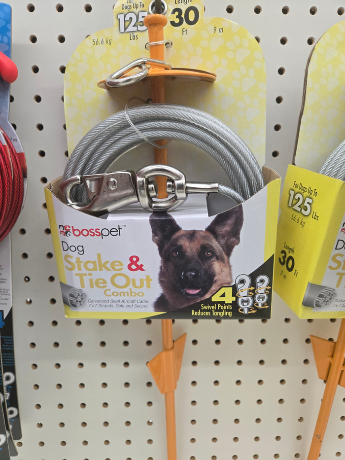 30" XL Tie-Out with Stake