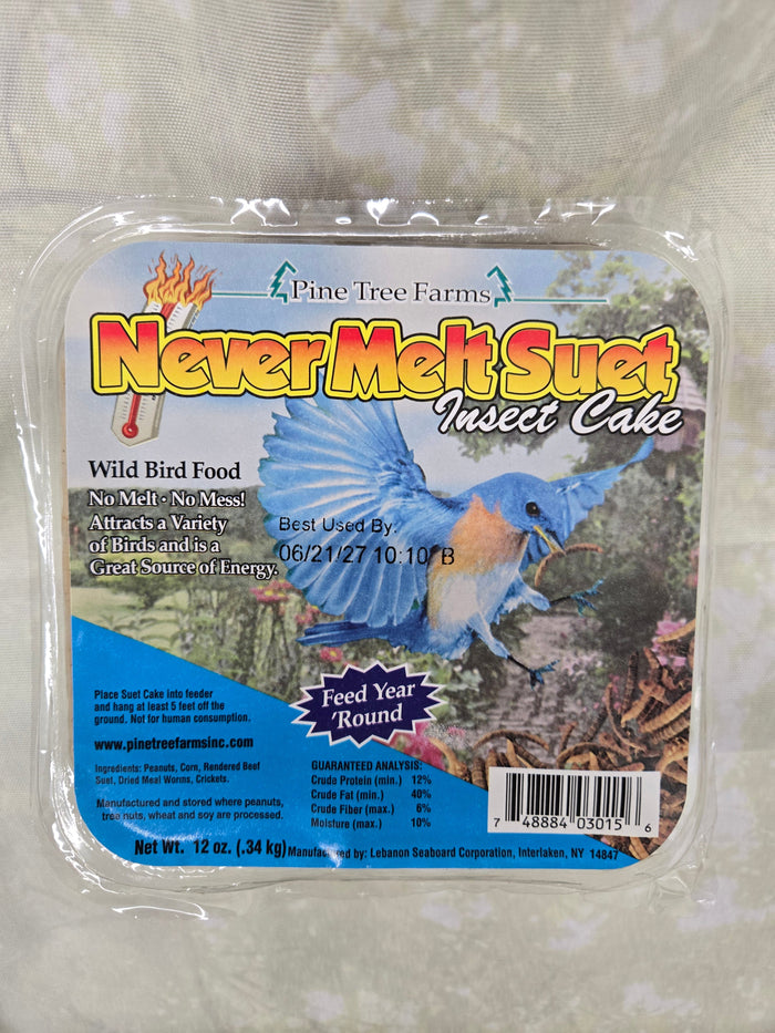 Never Melt Insect Suet for Wild Birds