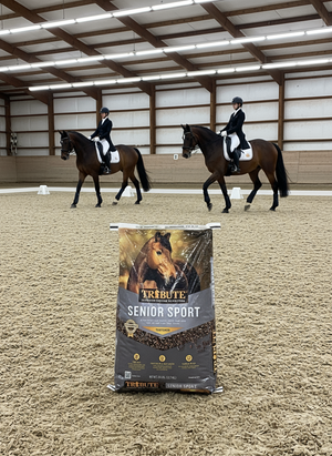 Tribute Senior Sport Text