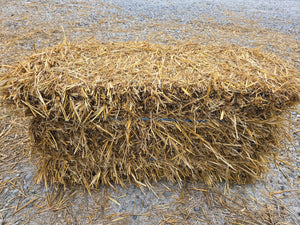 Straw Bales (50 lbs)