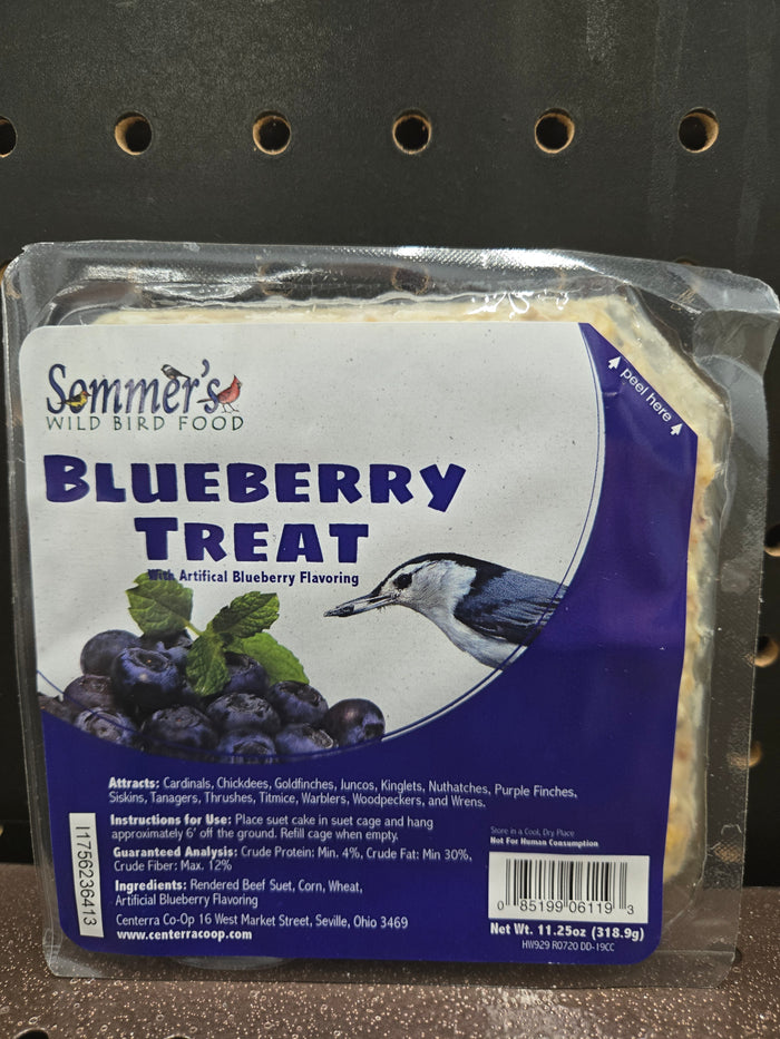 Blueberry Suet Cake