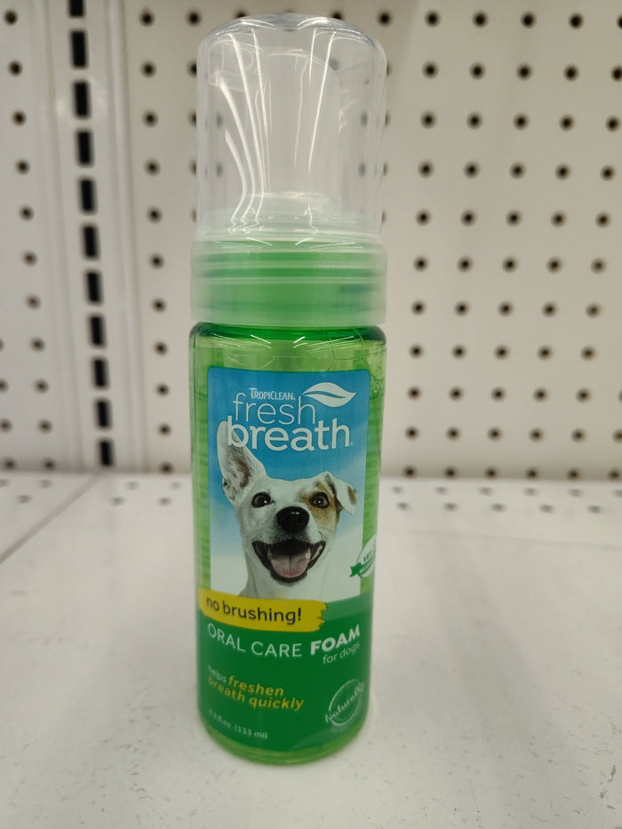 Fresh Breath Mint Foam