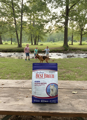 Best BRD.4# GF Ocean Recipe