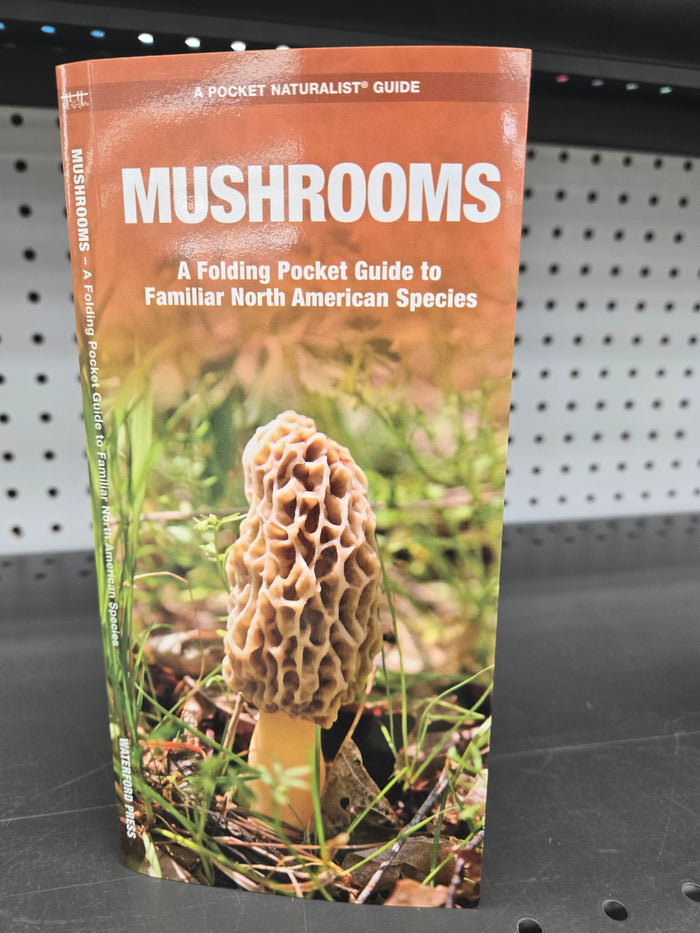 Mushroom Guide