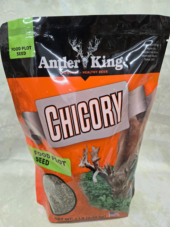 AK Chicory