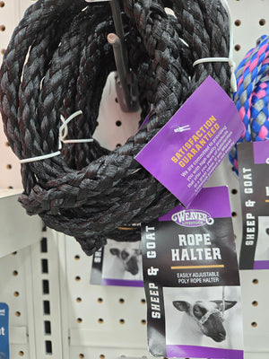 Poly Rope Sheep and Goat Halter Black