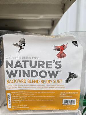 NW Backyard Berry Suet