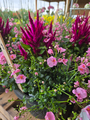 9-Inch Planter