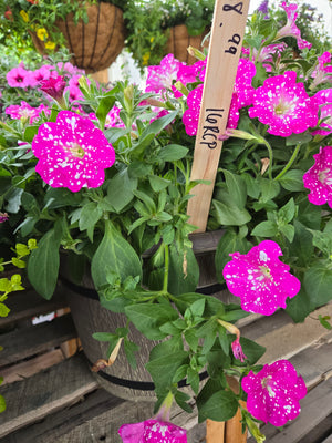 16" Round Cask Planter