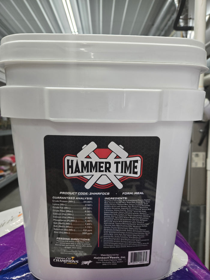 Hammer Time Bucket 25LB