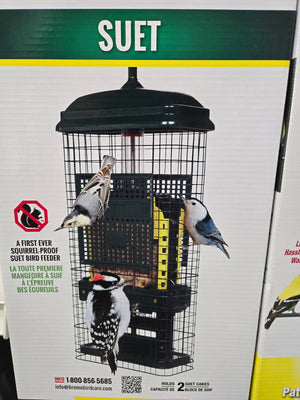 Squirrel Buster Suet Feeder