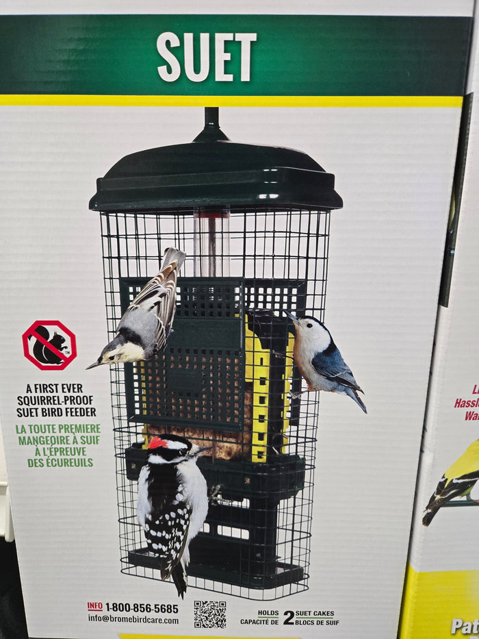 Squirrel Buster Suet Feeder