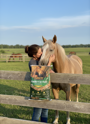 Tribute Senior GC Text