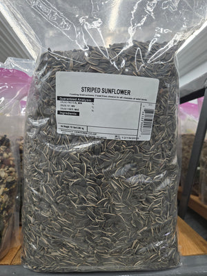 10LB Striped Sunflower