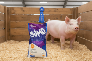Sunglo Sumo 25 Lb