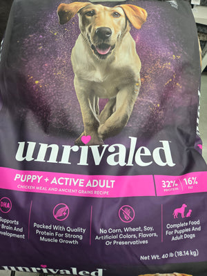 Unrivaled Puppy & Active