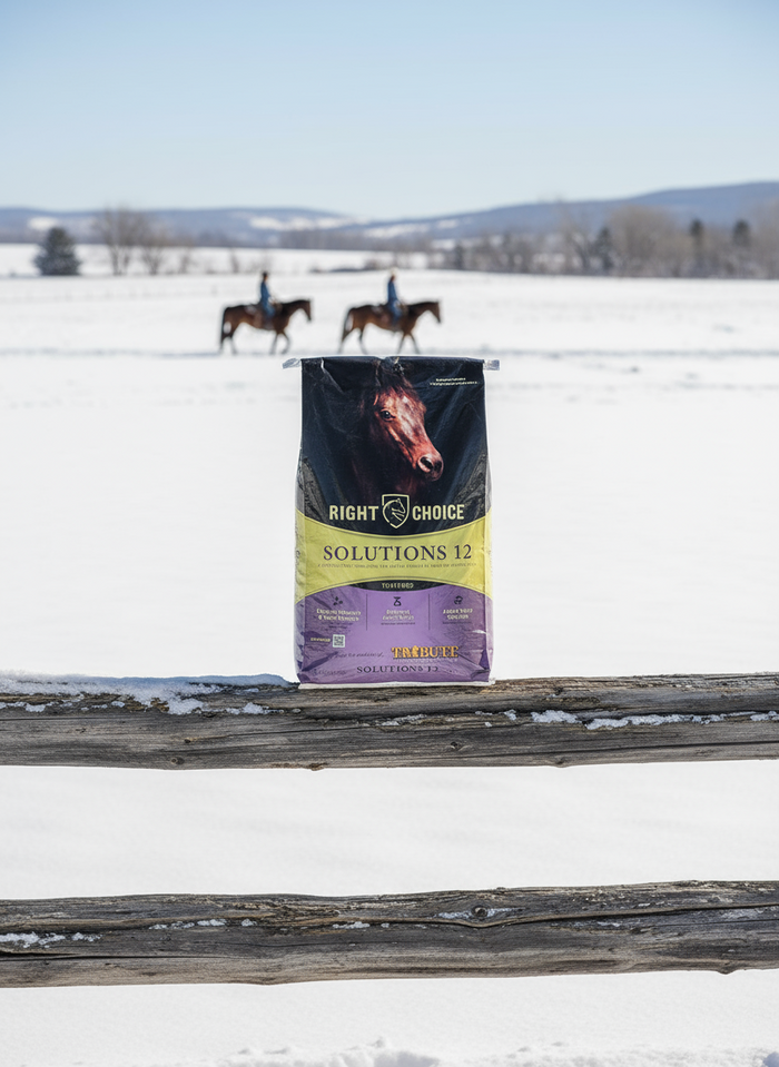 Right Choice 12 Text