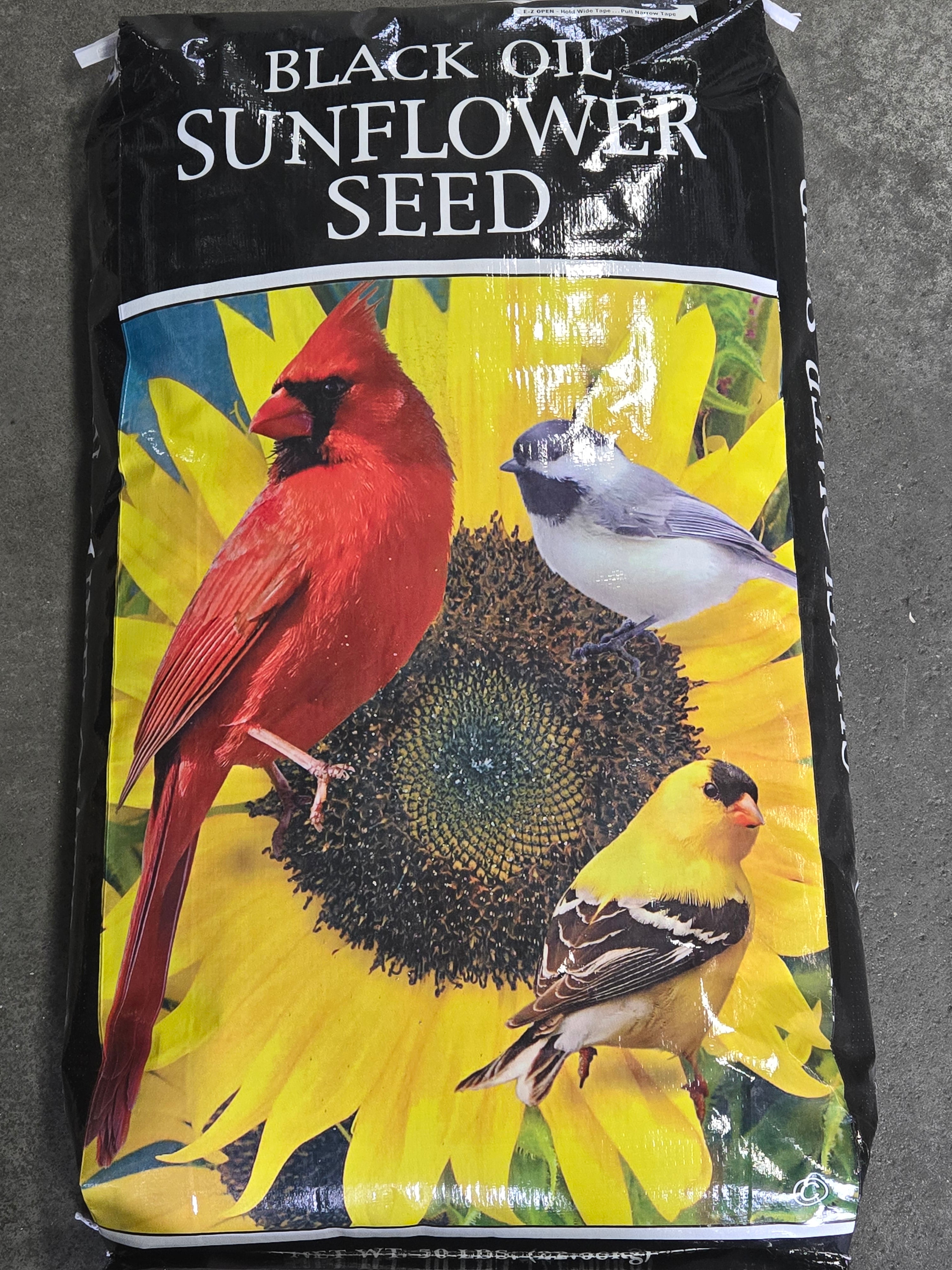50LB Black Oil Sunflower Seeds for Wild Birds in Ravenna, OH –  Pettigrew-Online
