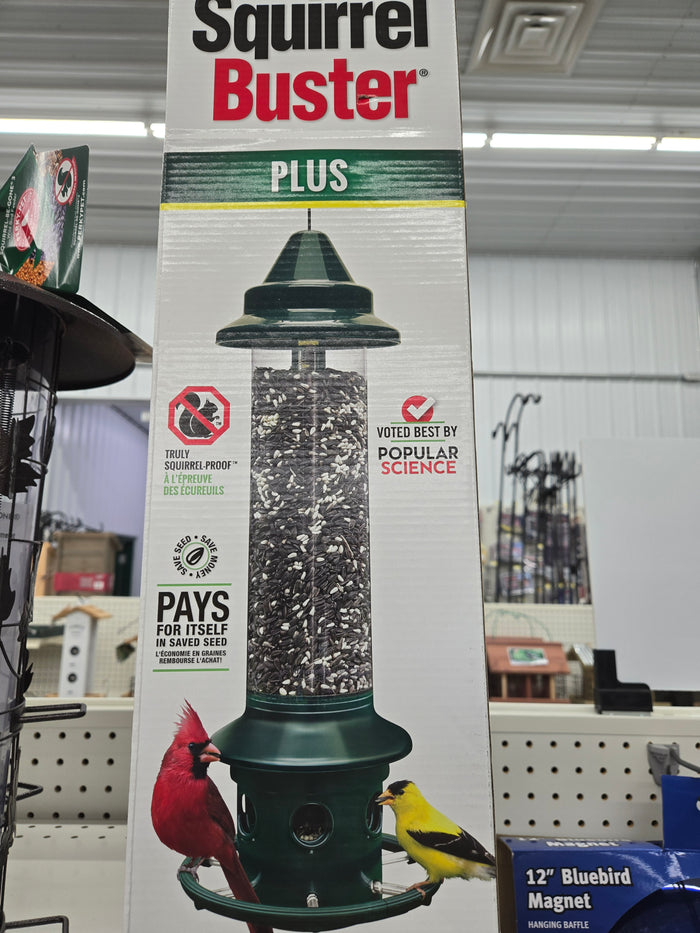 Squirrel Buster Plus Feeder