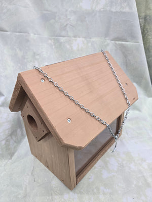 Hanging Bluebird Feeder