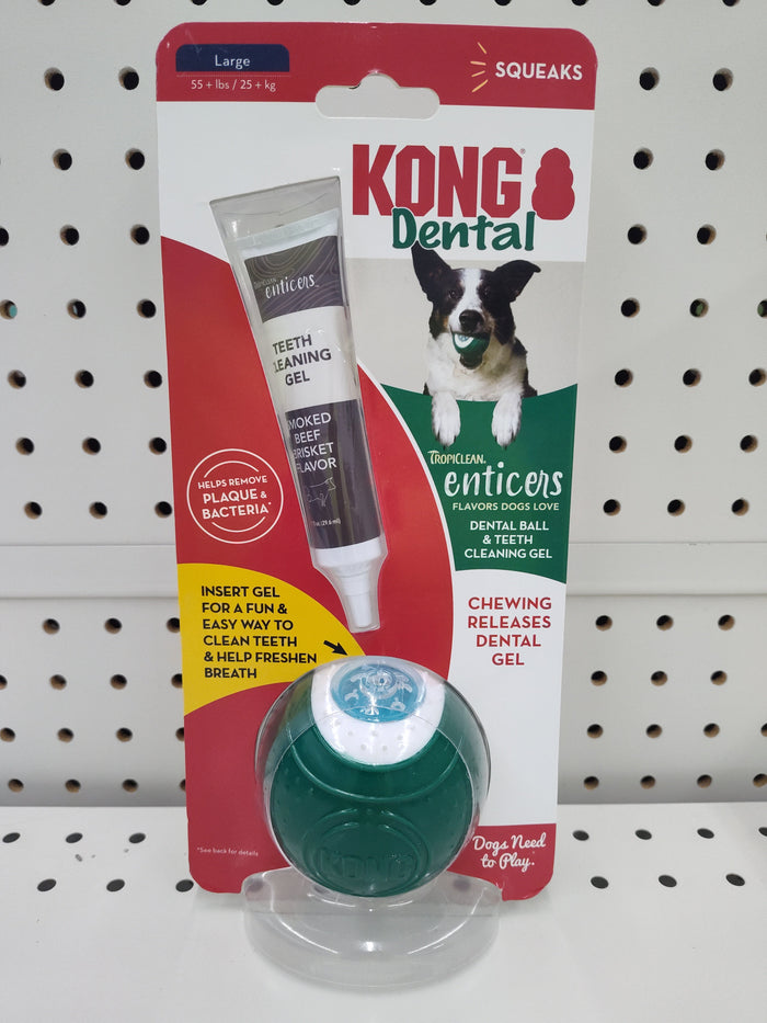 Kong Dental Large Ball
