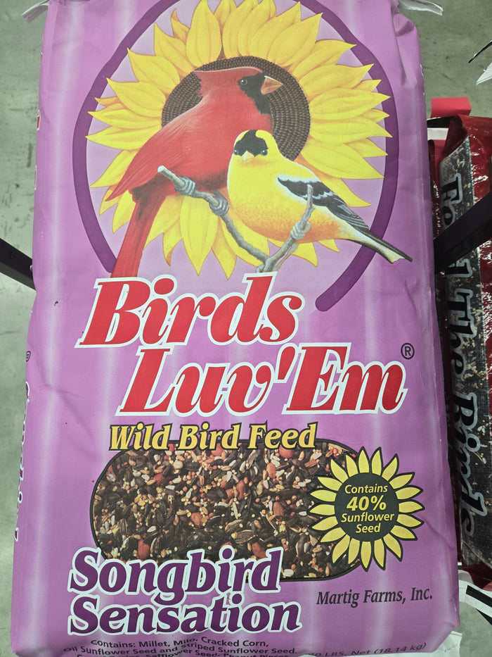 40LB Song Bird Sensation