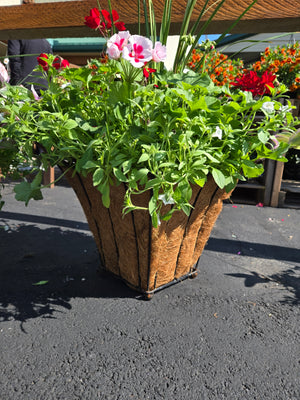 14" Moss Square Pot