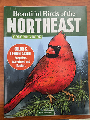 Beautiful Birds Coloring