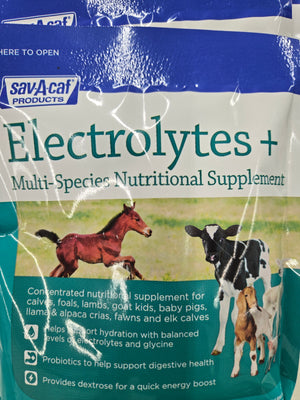 Electrolytes + Electrolytes Plus