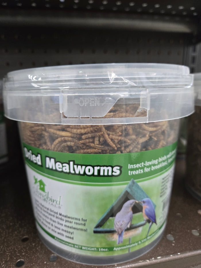 10 oz Tub of Dried Mealworms for Wild Birds