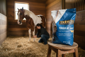 Tribute Tough as Nails 11