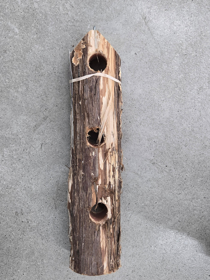 6-Plug Suet Log Without Perch