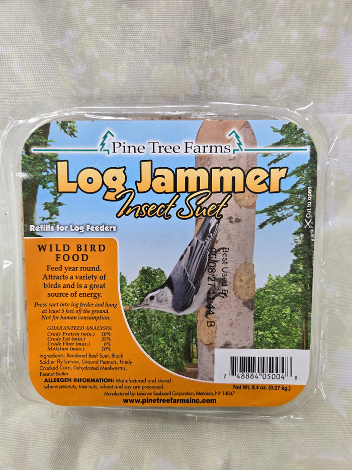 Insect Suet Plugs for Wild Birds