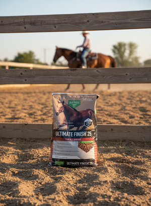 Buckeye Ult. Finish 25