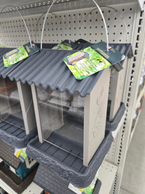 Pinecone Bird Feeder