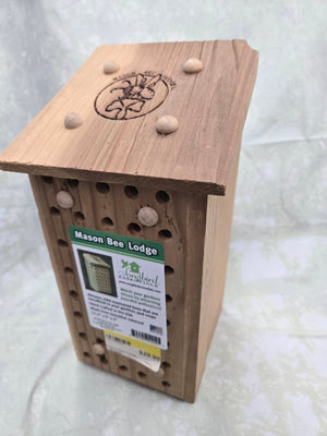 Mason Bee Lodge