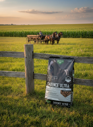 Buckeye Cadence Ultra