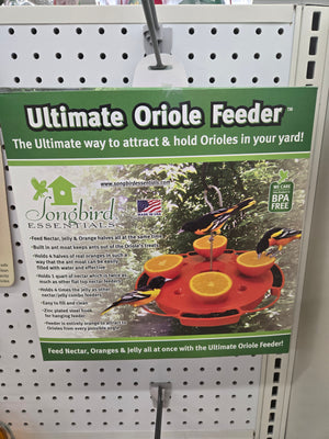 Ultimate Oriole Feeder
