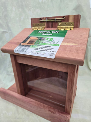 Squirrel Café Feeder