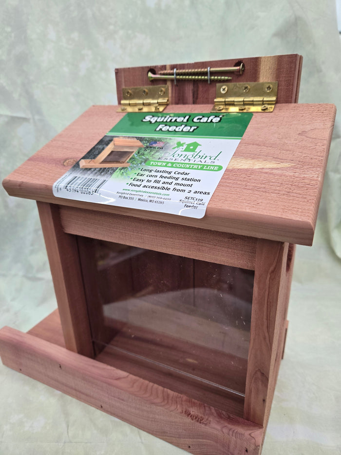 Squirrel Café Feeder