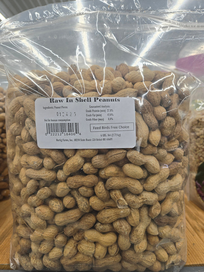 6 lb Raw Peanuts in Shell (6 lbs)