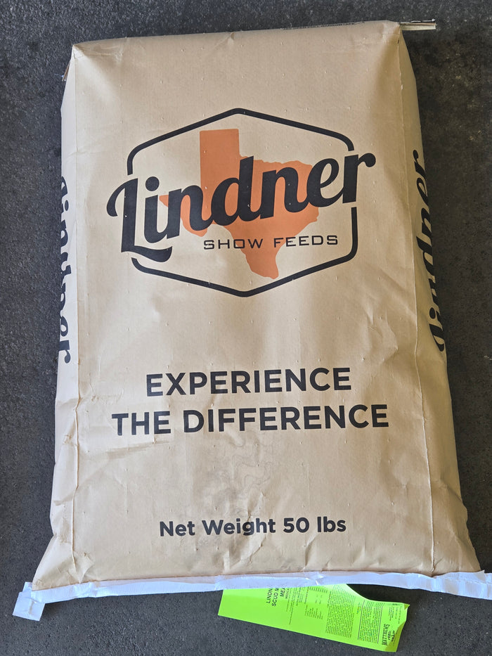 Lindner Scud Missile (50 lbs)
