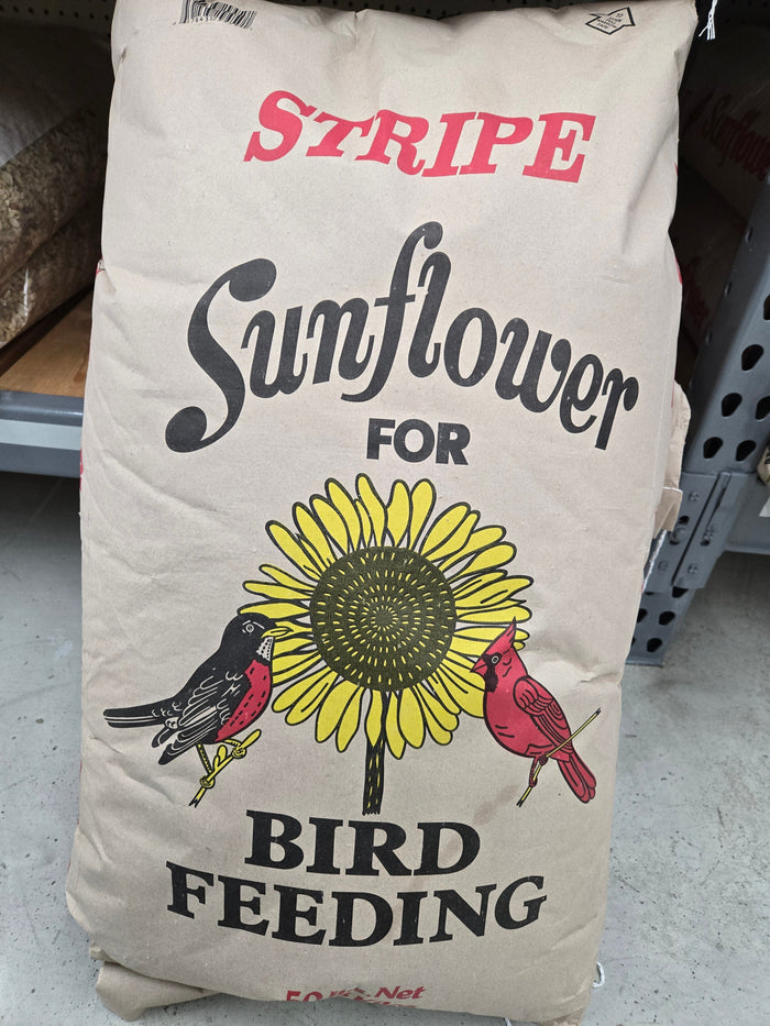 50 lb Striped Sunflower Seeds (50 lbs)
