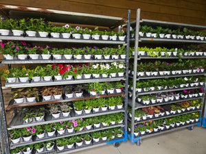 4.5-Inch Flower Pot
